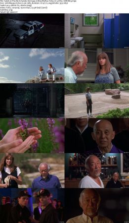 The Karate Kid Collection 1080p BluRay H264 AC3 DD5.1 Will1869