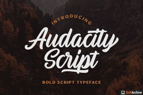 Audacity Script   Adventure Typeface Font