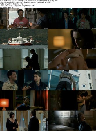 Cat Run Collection 1080p BluRay H264 AC3 DD5.1 Will1869