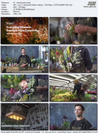 Everyday Flowers: Simple, Stunning Arrangements for Any Occasion