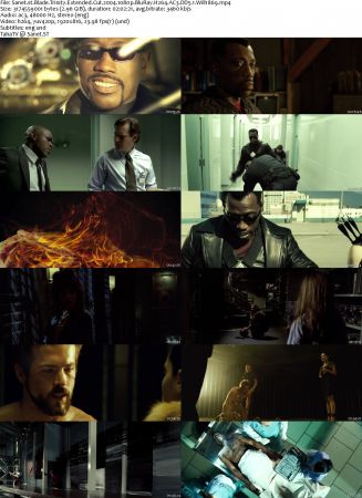 Blade Trilogy 1080p BluRay H264 AC3 DD5.1 Will1869