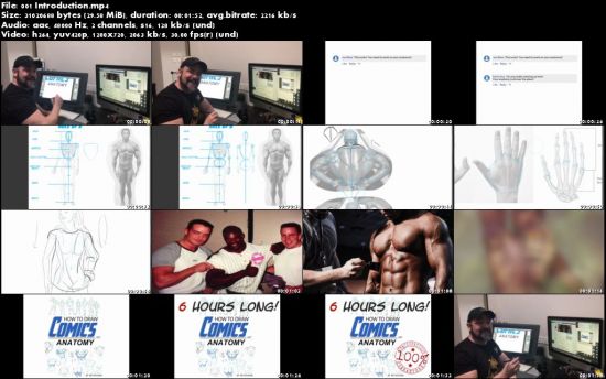 Drawing Comics - Anatomy and Figure Drawing 