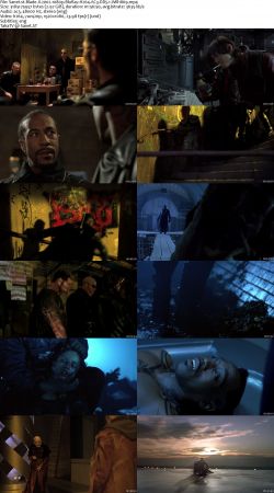 Blade Trilogy 1080p BluRay H264 AC3 DD5.1 Will1869