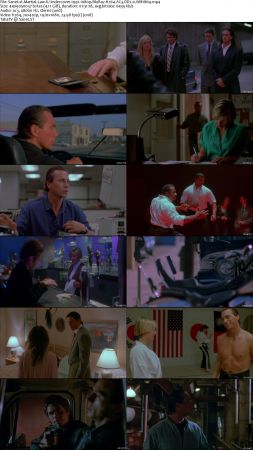 Martial Law Trilogy 1080p BluRay H264 AC3 DD2.0 Will1869