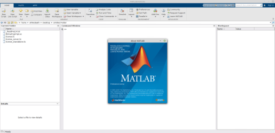 MathWorks MATLAB R2020a v9.8.0.1323502 LINUX (x64)