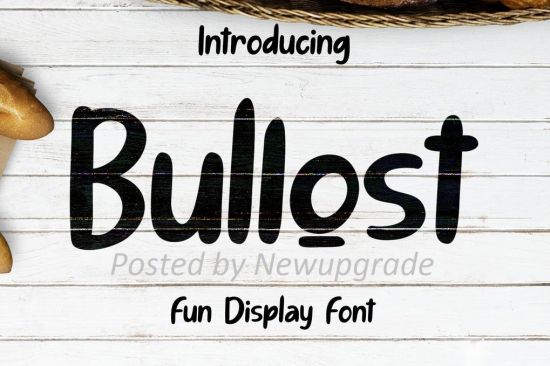 Bullost Fun Display Font