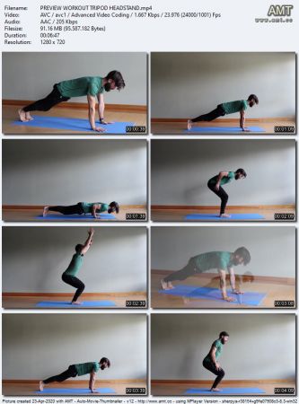 AloMoves - Arm Balances &amp; Head Balances