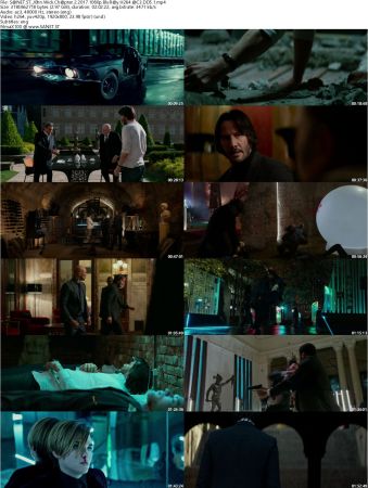 John Wick Trilogy 1080p BluRay H264 AC3 DD5.1-Will1869