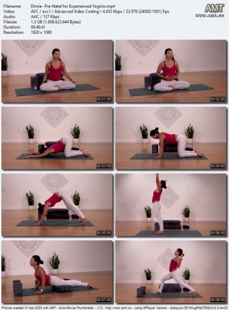 The Collective Yoga - Prenatal for Experienced Yoginis