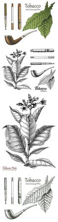 Tobacco collection hand drawn in vintage style