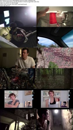 VHS Trilogy 1080p BluRay H264 AC3 DD5.1 Will1869