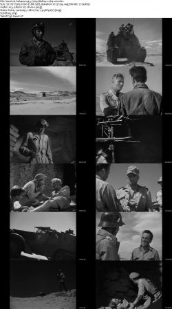 Sahara 1943 720p BluRay x264-x0r