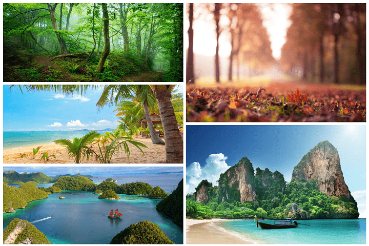 Download Amazing Natural Wallpapers 5k #3 - SoftArchive