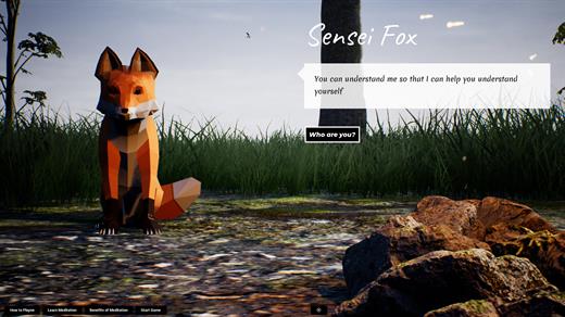 PLAYNE The Meditation Game-PLAZA