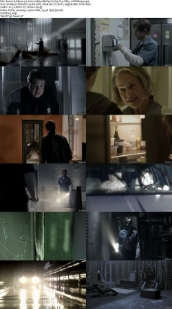 Mirrors Duology 1080p BluRay H264 AC3 DD5.1 Will1869