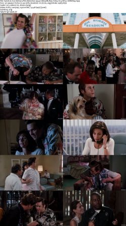 Ace Ventura Trilogy 1080p H264 AC3 DD5.1 Will1869