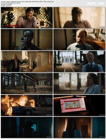 Briarpatch 2019 S01 1080p AMZN WEB-DL x265 HEVC 10bit DDP 5.1-Vyndros
