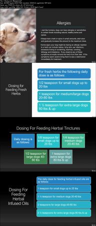  Herbalism : Herbs For Dogs 