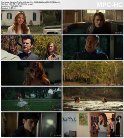 The Best Of Me 2014 1080p BluRay x265-RARBG