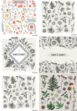 Vector Set of illustrations of plants and flowers