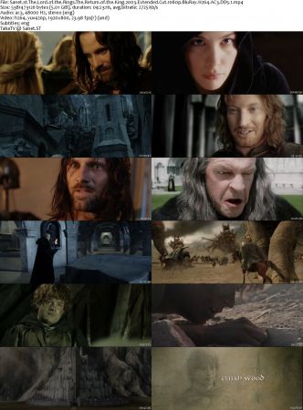 The Hobbit And Lord Of The Rings Extended Cut Collection 1080p BluRay H264 AC3 DD5.1 Will1869