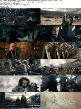 The Hobbit And Lord Of The Rings Extended Cut Collection 1080p BluRay H264 AC3 DD5.1 Will1869