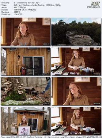 Watercolor in the Woods: A Beginner's Guide to Painting the Natural World