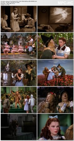 The Wizard Of OZ 1939 1080p BluRay x265-RARBG
