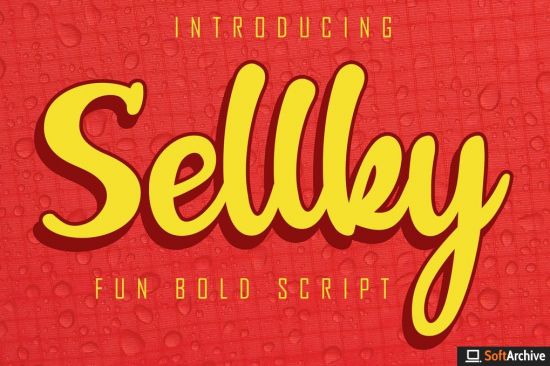 Sellky Fun Bold Script Font