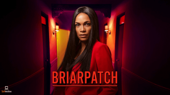Briarpatch 2019 S01 1080p AMZN WEB-DL x265 HEVC 10bit DDP 5.1-Vyndros