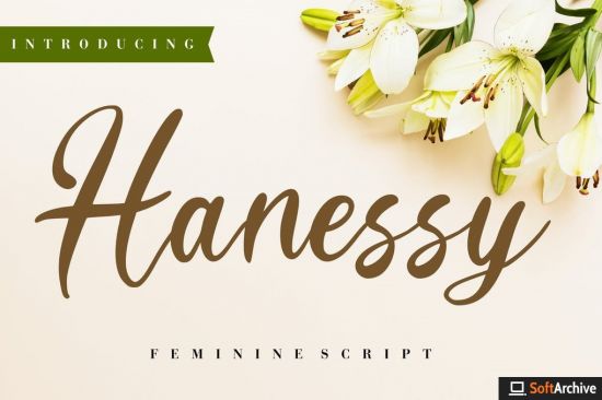Hanessy Feminine Script Font