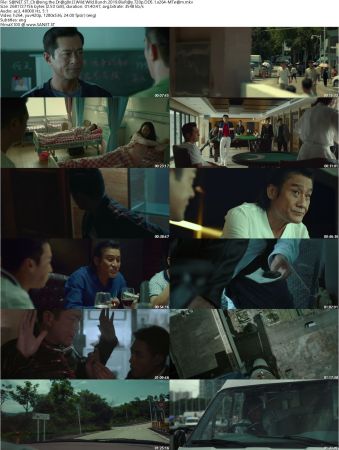 Chasing the Dragon II Wild Wild Bunch 2019 BluRay 720p DD5.1 x264-MTeam