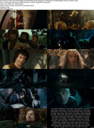 The Hobbit And Lord Of The Rings Extended Cut Collection 1080p BluRay H264 AC3 DD5.1 Will1869