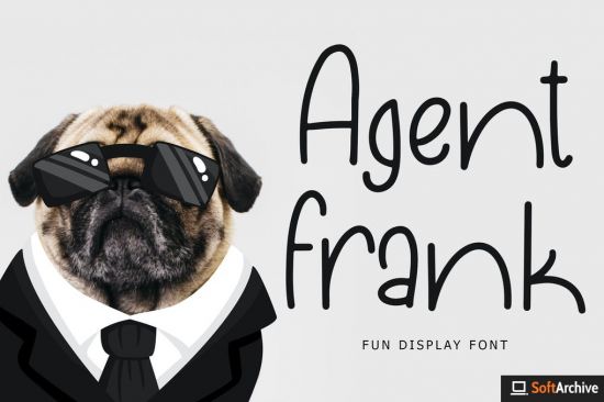 Agent Frank Fun Display Font