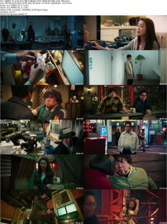 Enter the Fat Dragon 2020 1080p BluRay x264-WiKi