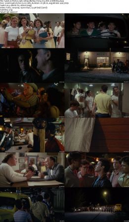 Porkys Trilogy 1080p BluRay H264 AC3 DD Will1869