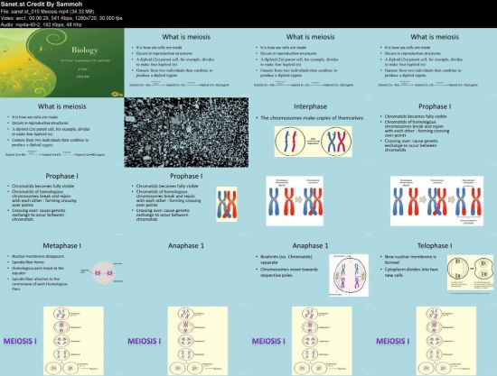 Biology 101: Introduction to Reproduction and Genetics