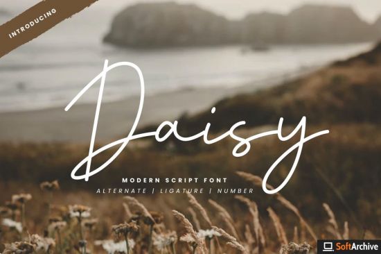 Daisy   Modern Script Font