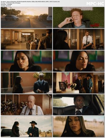 Briarpatch 2019 S01 1080p AMZN WEB-DL x265 HEVC 10bit DDP 5.1-Vyndros
