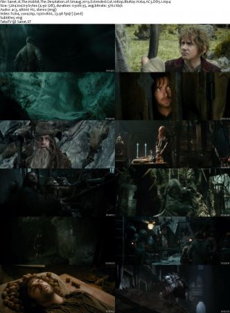 The Hobbit And Lord Of The Rings Extended Cut Collection 1080p BluRay H264 AC3 DD5.1 Will1869
