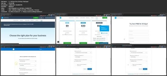 help with xero accounting software