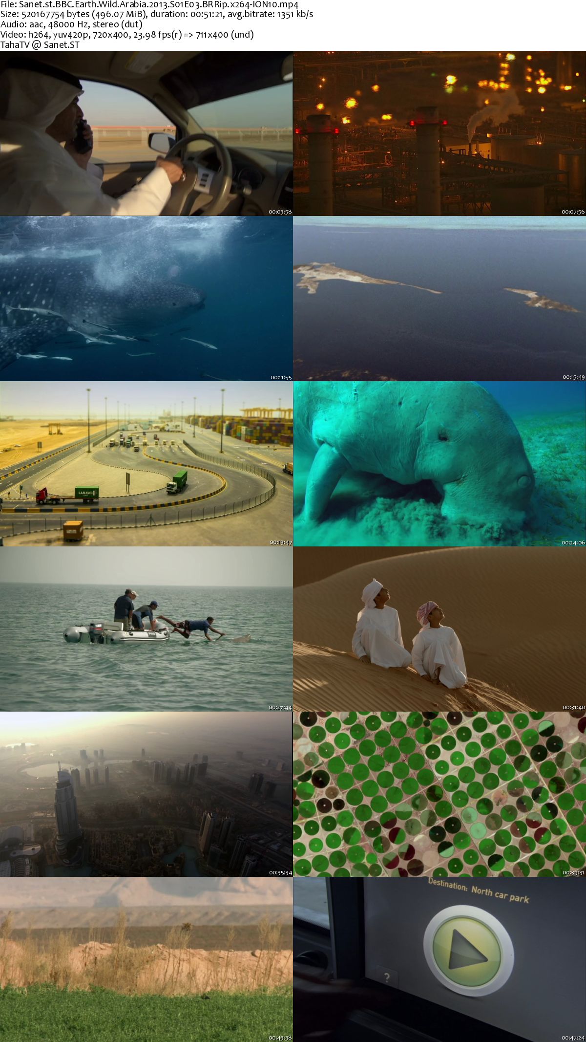 دانلود فیلم مستند 2013 Bbc Wild Arabia بی بی سی حیات وحش 