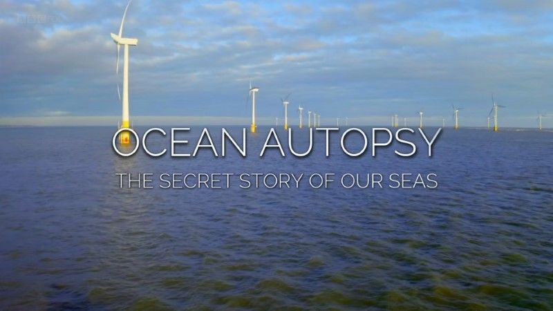 BBC - Ocean Autopsy: The Secret Story of Our Seas (2020) 1080p HDTV