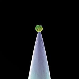 Peter Gabriel - New Blood (Remastered Special Edition) (2011/2019)