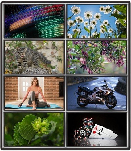 Collection wallpapers to your desktop #799