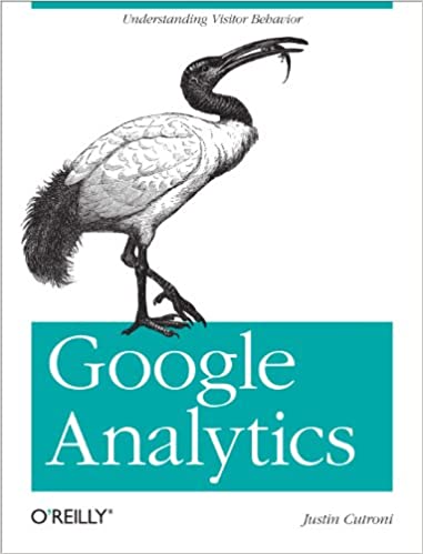 Google Analytics: Understanding Visitor Behavior - 1st Edition