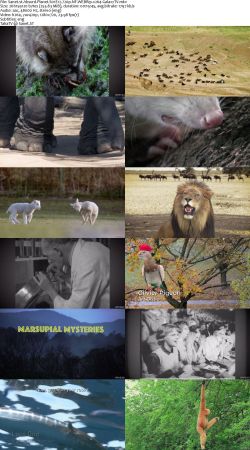 Absurd Planet S01 720p NF WEBRip x264-GalaxyTV