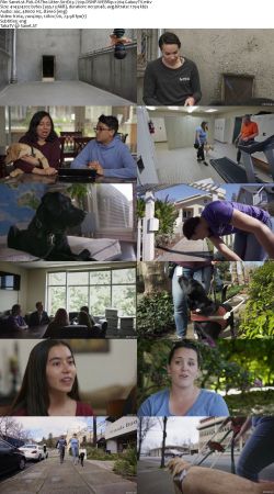 Pick Of The Litter S01 720p DSNP WEBRip x264-GalaxyTV