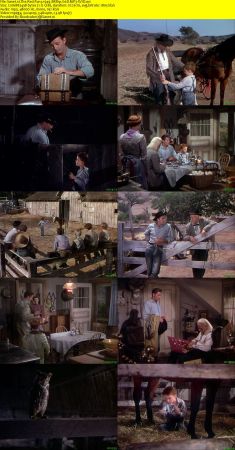 The Red Pony 1949 BRRip XviD MP3-XVID