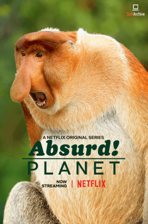 Absurd Planet S01 720p NF WEBRip x264-GalaxyTV